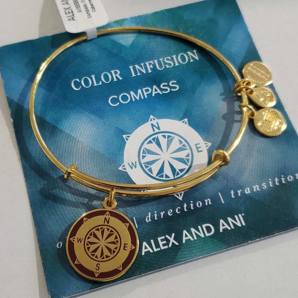 Alex and Ani Color Infusion Compass bracelet